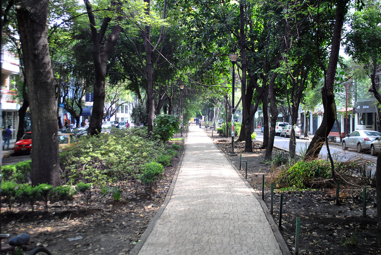 Avenida_Amsterdam_-_Colonia_Condesa_2