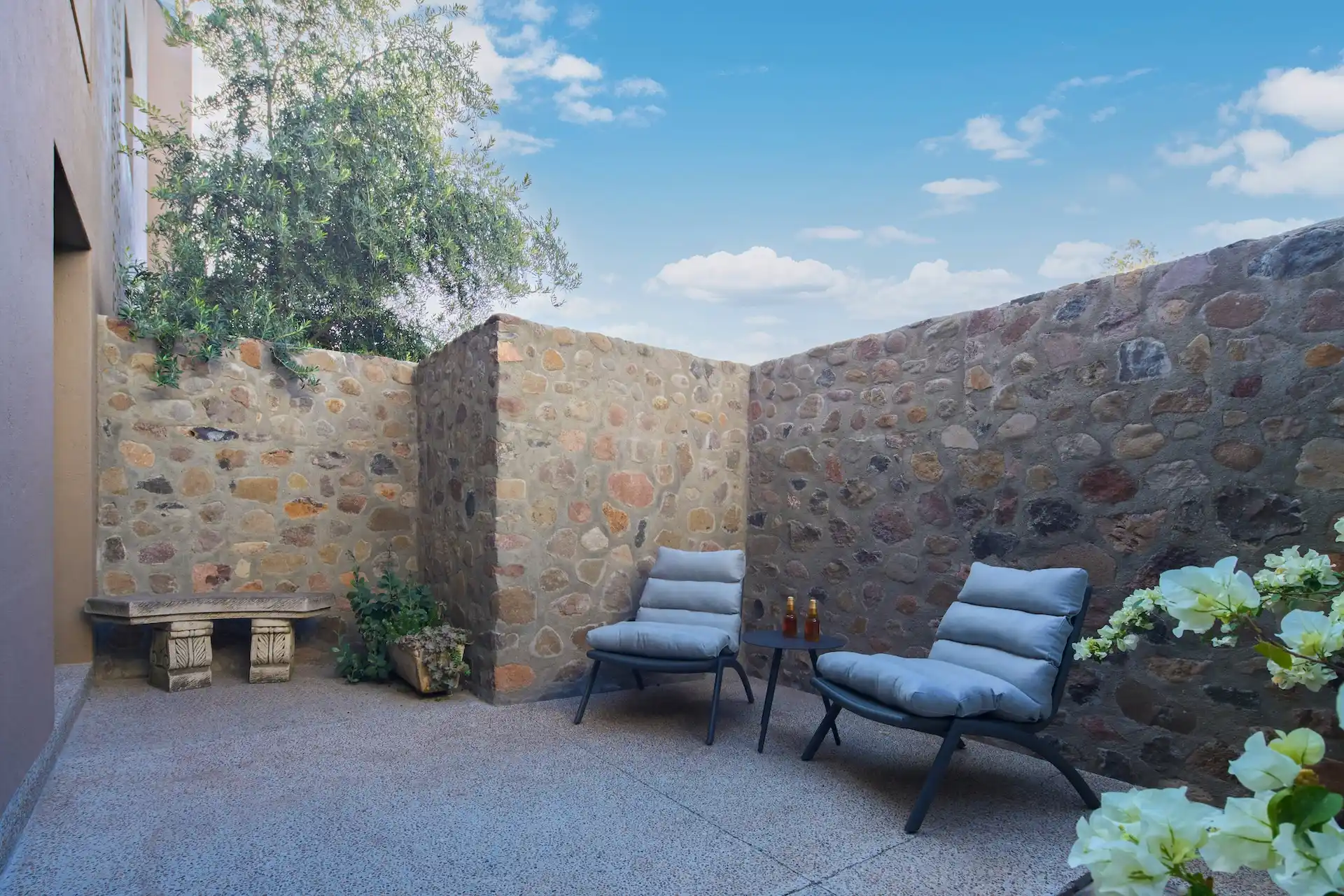 mezquite terraza