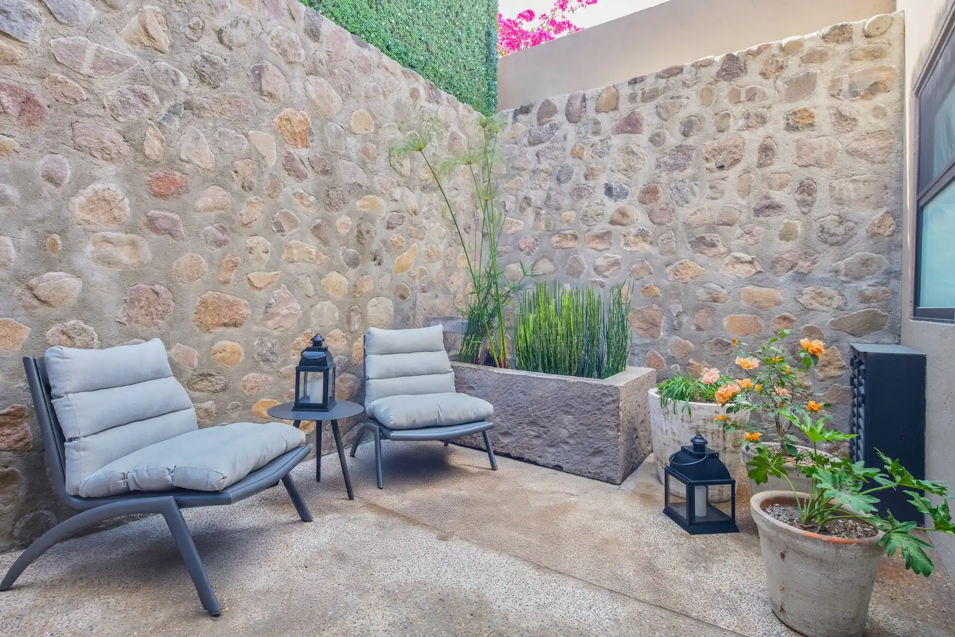 mezquite terraza