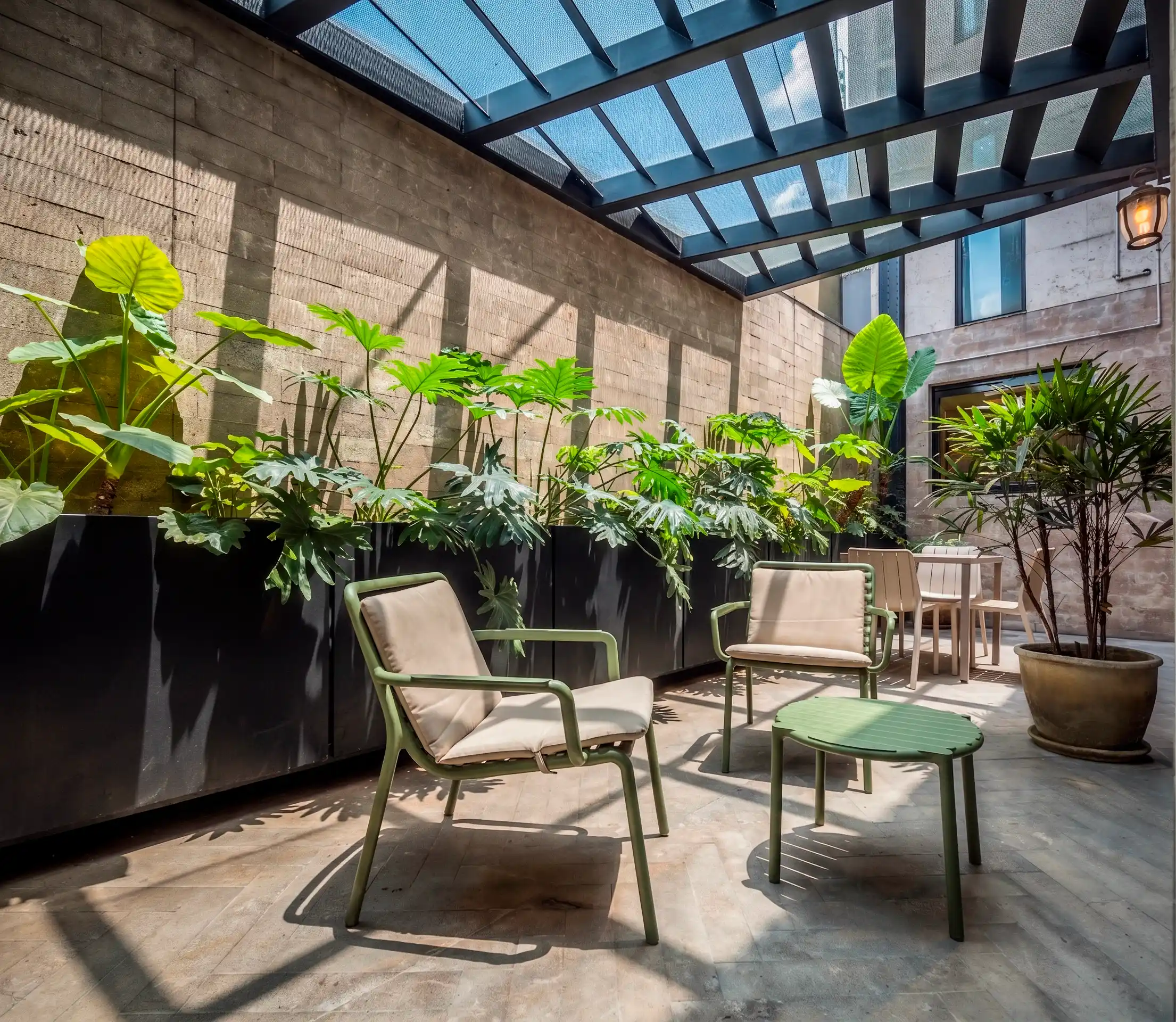 terraza frida